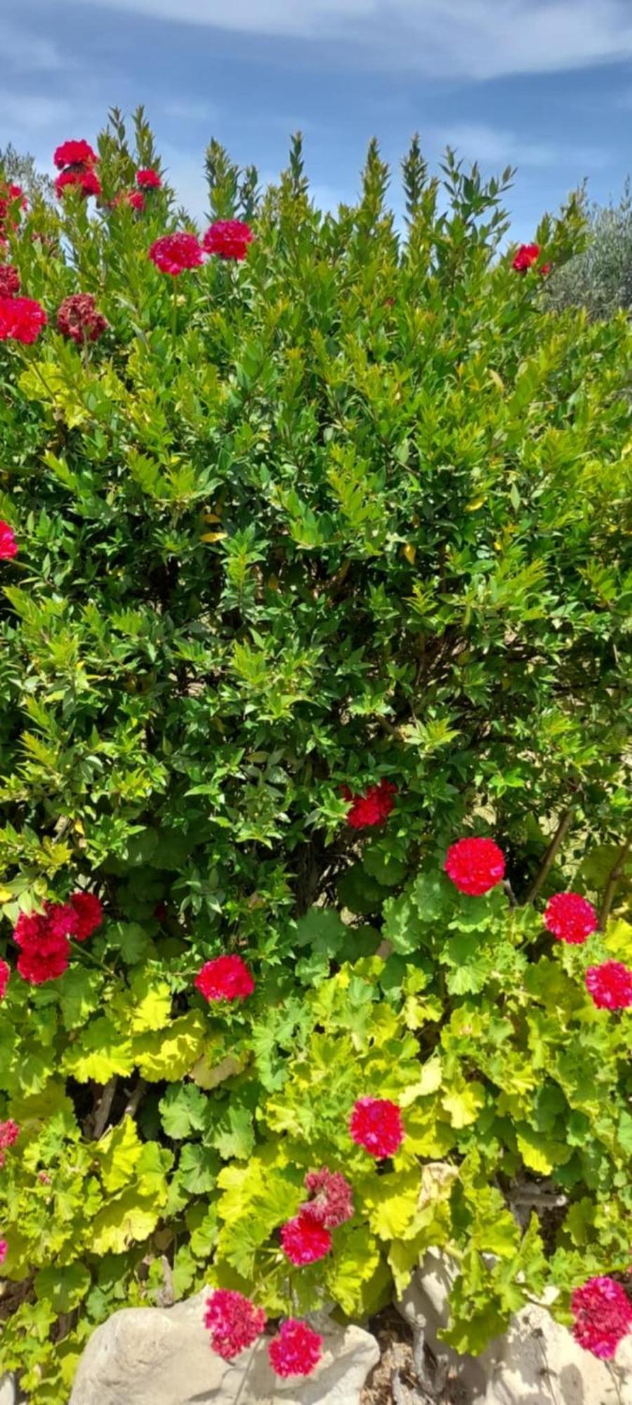 Sunshine Villa วาซิลิคอส ภายนอก รูปภาพ